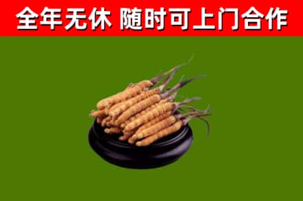 社旗县烟酒回收冬虫夏草.jpg